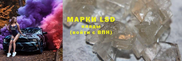 ECSTASY Бородино