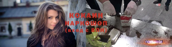 кокс Богородицк