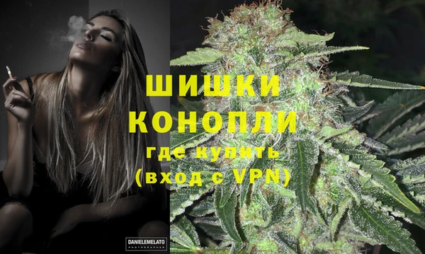 кокс Богородицк