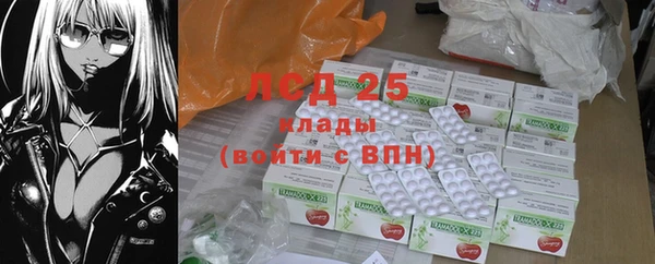 ECSTASY Бородино