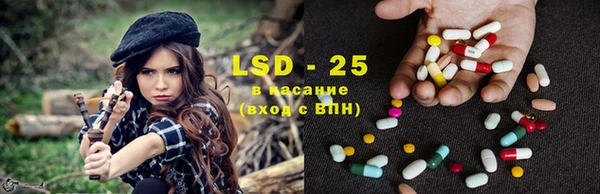 ECSTASY Бородино