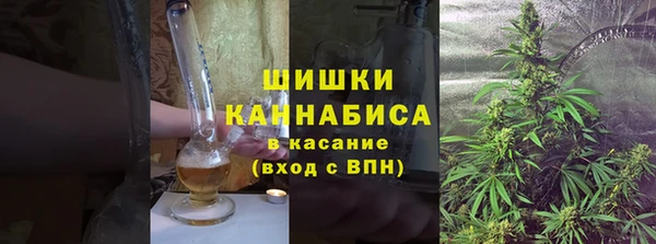 ECSTASY Бородино