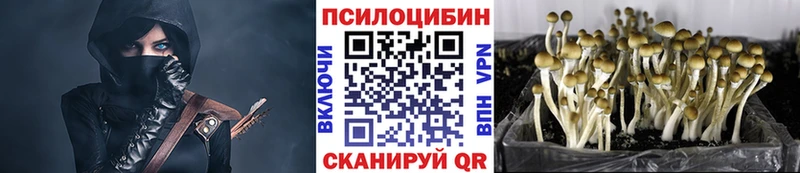 дарнет шоп  Будённовск  OMG как зайти  Галлюциногенные грибы мицелий 